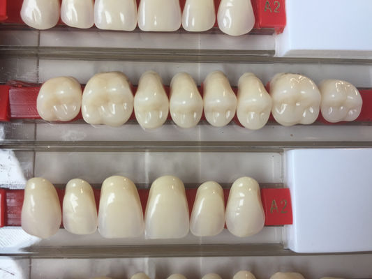 Acrylic Resin Denture Teeth Set Repair Surfaces 2 Layers Super Hard Synthetic Dental Teeth