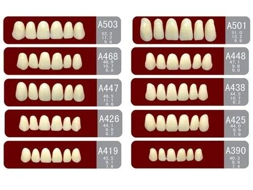 VITA System False Dental Teeth with Heraeus Teeth Form 1 Easy to Use